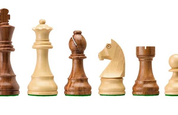 Pièces d'échecs en bois DGT Timeless